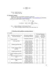 Pneumatinis cilindras 14 puslapis