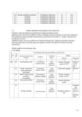Pneumatinis cilindras 15 puslapis