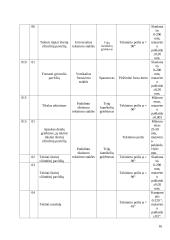 Pneumatinis cilindras 16 puslapis