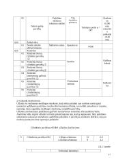 Pneumatinis cilindras 17 puslapis