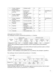 Pneumatinis cilindras 4 puslapis