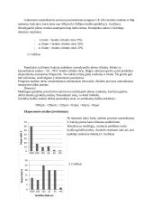 Rutulinis malūnas 8 puslapis