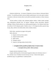 Valcinis malūnas 2 puslapis