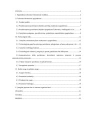 Grūdų valomoji - technologiniai įrenginiai 2 puslapis