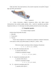 Grūdų valomoji - technologiniai įrenginiai 17 puslapis