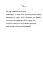 Grūdų valomoji - technologiniai įrenginiai 3 puslapis