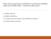 Atsargų valdymo samprata, rūšys ir problemos 12 puslapis