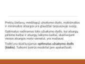 Atsargų valdymo samprata, rūšys ir problemos 20 puslapis