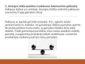 Atsargų valdymo samprata, rūšys ir problemos 4 puslapis