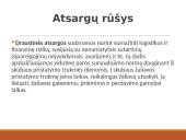 Atsargų valdymo samprata, rūšys ir problemos 6 puslapis