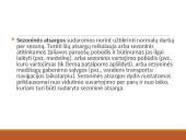Atsargų valdymo samprata, rūšys ir problemos 8 puslapis