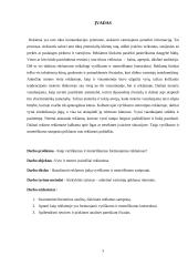 Vyriškumo ir moteriškumo konstruktai, formuojami reklamose 3 puslapis