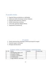 Kompiuterių taisymo įmonė 17 puslapis