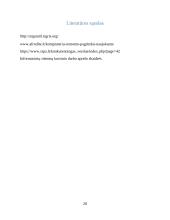 Kompiuterių taisymo įmonė 20 puslapis