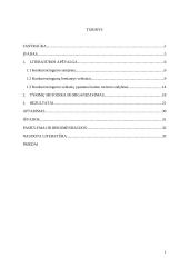 Kaimo turizmo sodybos „Svajoklių slėnis“ konkurencingumą lemiantys veiksniai 2 puslapis