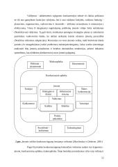 Kaimo turizmo sodybos „Svajoklių slėnis“ konkurencingumą lemiantys veiksniai 13 puslapis