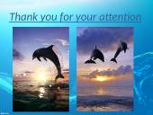 Dolphins 6 puslapis
