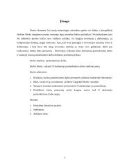 Darbuotojo pasitenkinimas darbu valdymo planas 2 puslapis