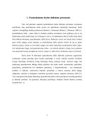 Darbuotojo pasitenkinimas darbu valdymo planas 3 puslapis