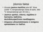 Tai negali nutikti man. ŽIV - AIDS 8 puslapis
