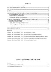 Akcinės bendrovė „Vilniaus baldai“ pelno ir pelningumo analizė 2 puslapis