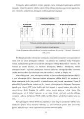 Akcinės bendrovė „Vilniaus baldai“ pelno ir pelningumo analizė 11 puslapis