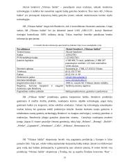 Akcinės bendrovė „Vilniaus baldai“ pelno ir pelningumo analizė 13 puslapis