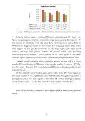 Akcinės bendrovė „Vilniaus baldai“ pelno ir pelningumo analizė 16 puslapis