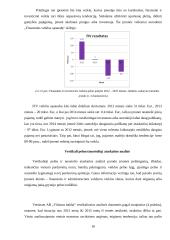 Akcinės bendrovė „Vilniaus baldai“ pelno ir pelningumo analizė 18 puslapis