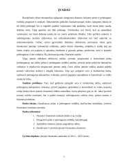 Akcinės bendrovė „Vilniaus baldai“ pelno ir pelningumo analizė 5 puslapis