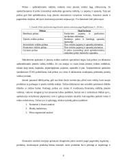 Akcinės bendrovė „Vilniaus baldai“ pelno ir pelningumo analizė 8 puslapis