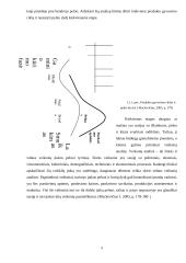 Akcinės bendrovė „Vilniaus baldai“ pelno ir pelningumo analizė 9 puslapis