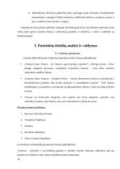 AB SEB bankas finansinių išteklių analizė 18 puslapis