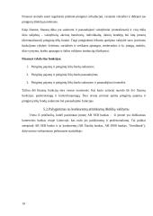 AB SEB bankas finansinių išteklių analizė 19 puslapis