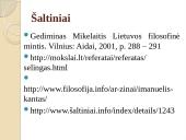 Laisvės samprata žmogaus gyvenime 13 puslapis