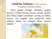 Laisvės samprata žmogaus gyvenime 4 puslapis