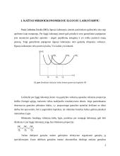 Kaštai ilguoju laikotarpiu. Ilgojo laikotarpio vidutinių kaštų kreivė. Teigiami ir neigiami gamybos masto efektai. 3 puslapis