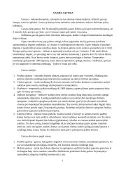 Pirmoji pagalba gaisro atveju rašto darbas 5 puslapis