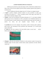 Pirmoji pagalba gaisro atveju rašto darbas 9 puslapis