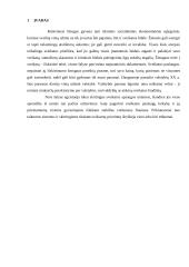 Sveikatos draudimo sistema 3 puslapis