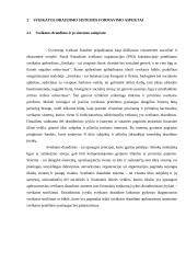 Sveikatos draudimo sistema 4 puslapis