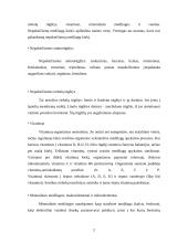 Referatas Kūno kultūros paskaitai kaip reikia sveikai maitintis 2 puslapis