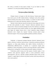 Referatas Kūno kultūros paskaitai kaip reikia sveikai maitintis 5 puslapis