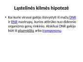 Mikrobiologija skaidrės 12 puslapis