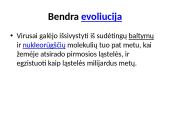 Mikrobiologija skaidrės 13 puslapis