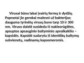 Mikrobiologija skaidrės 17 puslapis