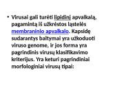 Mikrobiologija skaidrės 18 puslapis