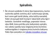 Mikrobiologija skaidrės 19 puslapis