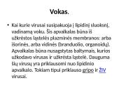 Mikrobiologija skaidrės 20 puslapis