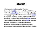 Mikrobiologija skaidrės 3 puslapis